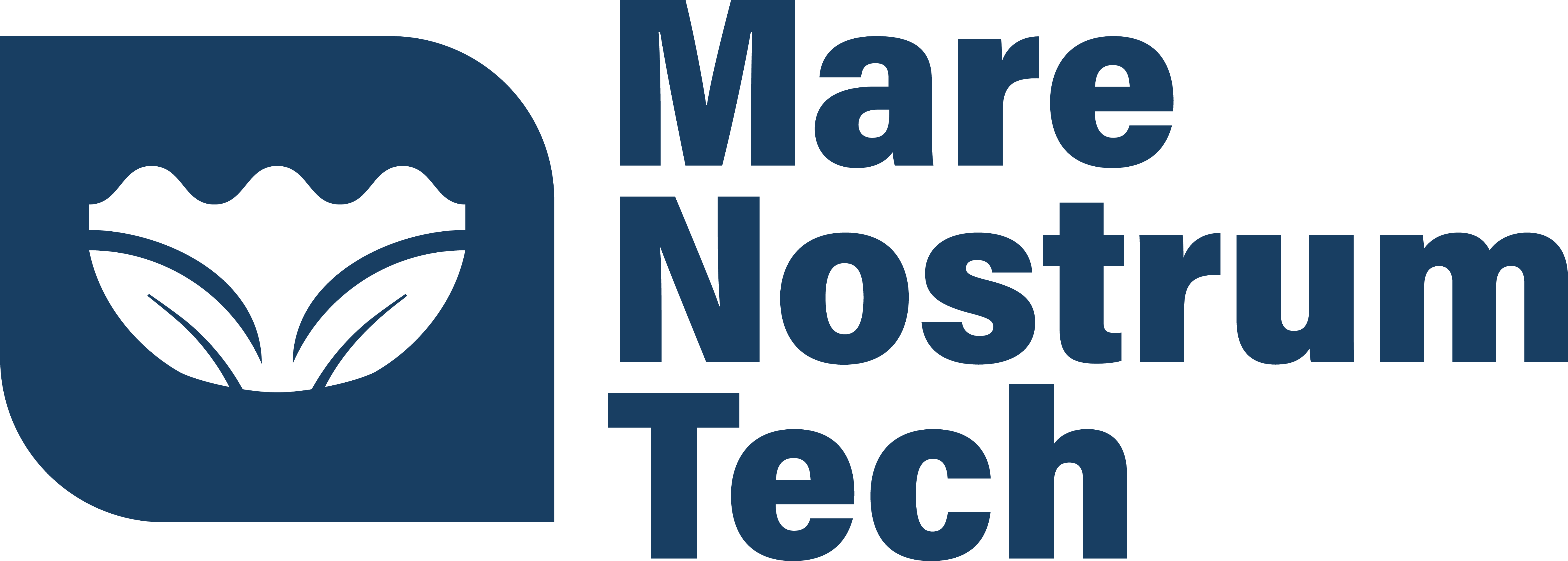 Mare nostrum tech_H azul oscuro
